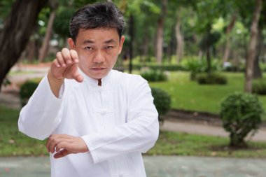 Kaplan pençesi stil Kung-Fu ya da tai chi pratik ciddi yaşlı adam