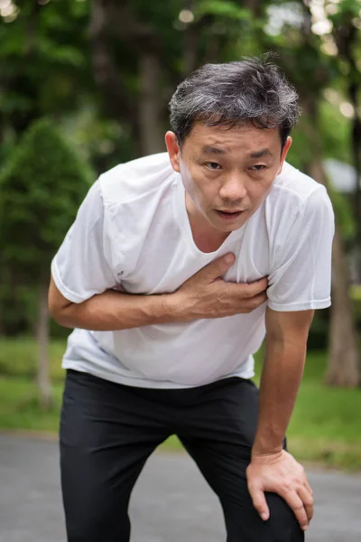 Exhausted, panting, cardiac arrest running senior man, outdoor park — Stock Photo, Image