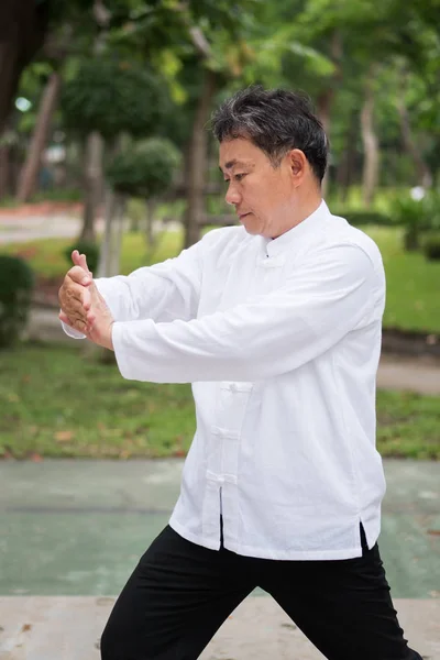 Anciano practicando kungfu o tai chi en el parque, estilo de vida saludable —  Fotos de Stock