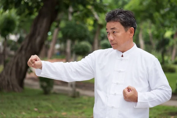 Anciano practicando kungfu o tai chi en el parque, estilo de vida saludable — Foto de Stock