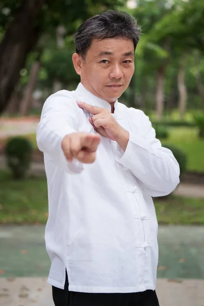 Anciano practicando kungfu o tai chi en el parque, estilo de vida saludable — Foto de Stock