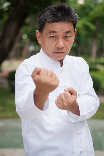 old man practicing kungfu or tai chi in the park, healthy lifestyle