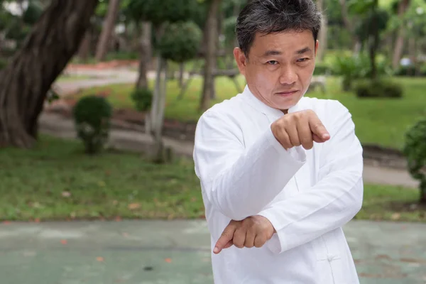 Anciano serio practicando mantis religiosa estilo kungfu o tai chi — Foto de Stock