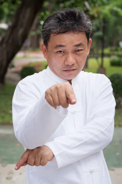 Sério velho praticando louva-a-deus estilo kungfu ou tai chi — Fotografia de Stock