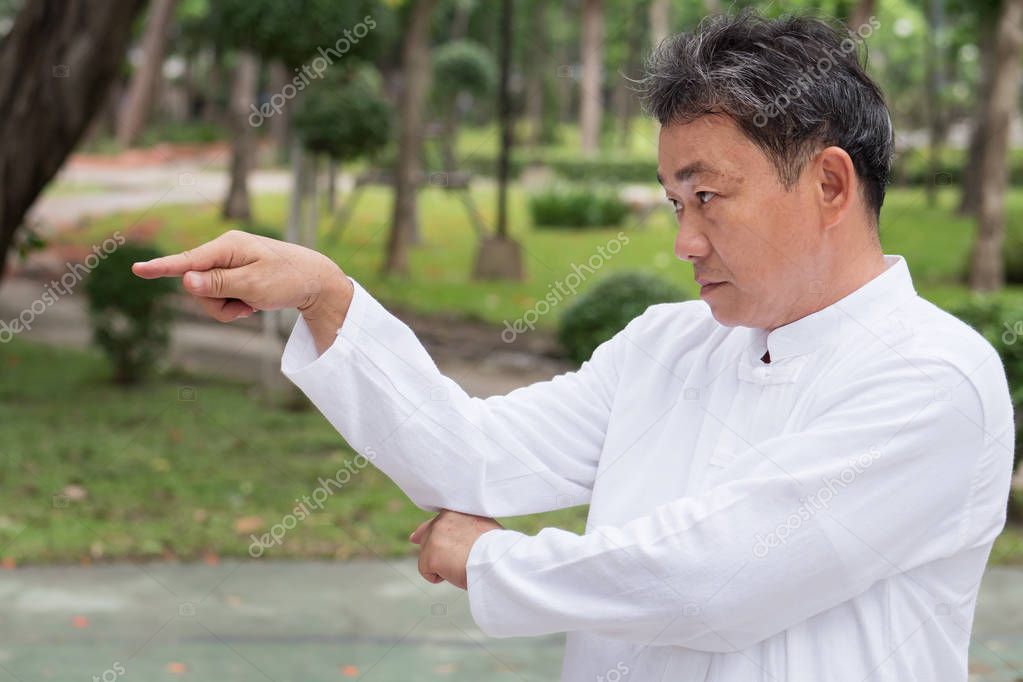 serious old man practicing praying mantis style kungfu or tai chi
