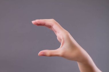 Holding, alıcı, bir şey kadın el