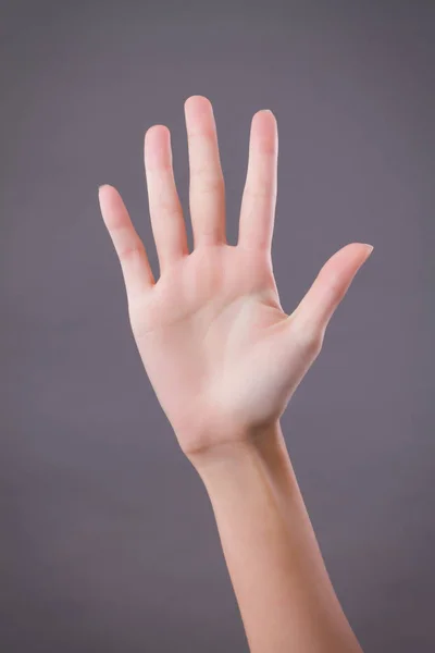 Hand showing, pointing up 5 fingers, number five hand gesture — Stock Photo, Image