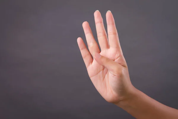 hand pointing up 4 fingers, studio isolated