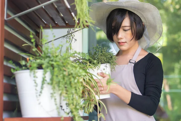 woman gardener tending small urban garden with tree pot