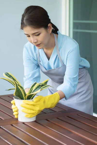 Mulher Jardineiro Cuidando Pequeno Jardim Urbano Com Vaso Árvore — Fotografia de Stock