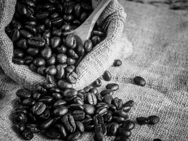 Filtreli Kahve çekirdekleri blabk ve beyaz stil etkisi