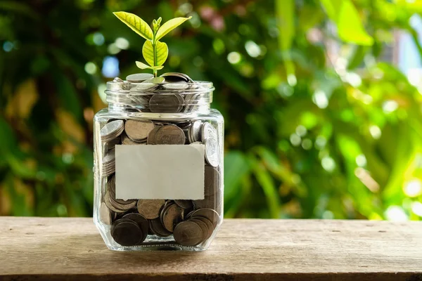 Financiering van bedrijven geld besparen voor investeringen concept plant groeien — Stockfoto