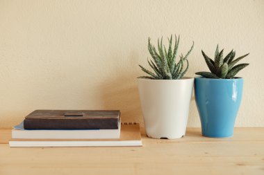 Ahşap masa üzerinde kapalı bitki