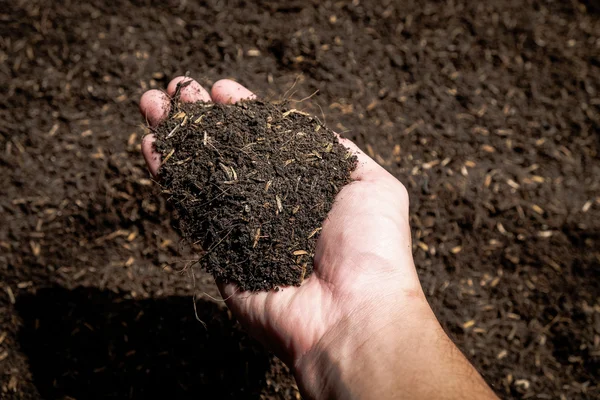Руки, удерживающие почву в сельскохозяйственном поле — стоковое фото