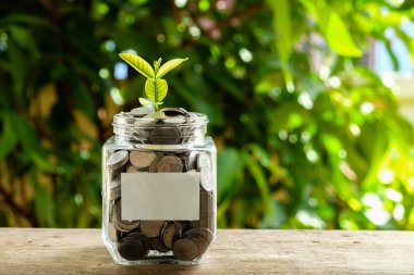 İş Finans yatırım kavramı bitki yetiştirme için para tasarrufu