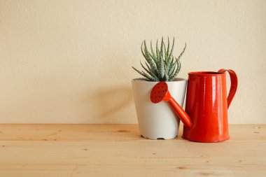 Ahşap masa üzerinde kapalı bitki