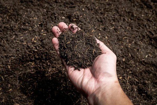 Tangan memegang tanah di bidang pertanian — Stok Foto