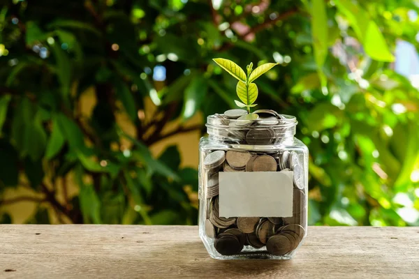 Üzleti-pénzügyi megtakarítást növénytermesztéséhez beruházási koncepció — Stock Fotó
