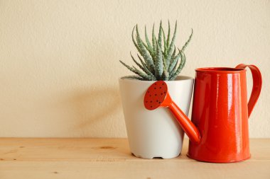 Ahşap masa üzerinde kapalı bitki