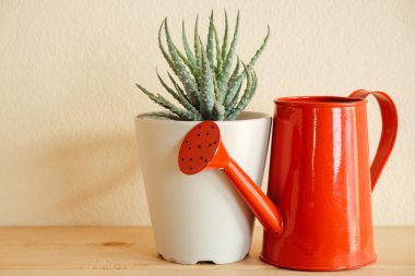 Ahşap masa üzerinde kapalı bitki