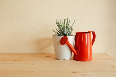 Ahşap masa üzerinde kapalı bitki