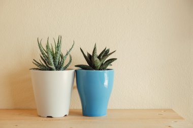 Ahşap masa üzerinde kapalı bitki