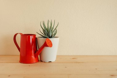 Ahşap masa üzerinde kapalı bitki