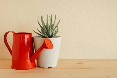 Ahşap masa üzerinde kapalı bitki