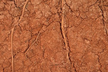 Turba toprak doku arka plan 