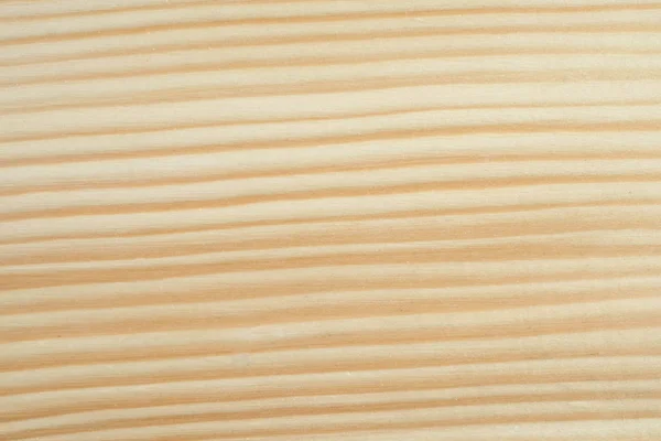 Texture of wood background closeup — Stock Photo, Image