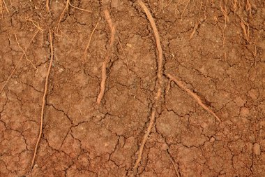 Turba toprak doku arka plan 