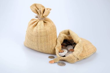 işletme finansı. yatırım kavramı para çantası için tasarruf