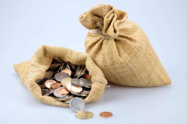 işletme finansı. yatırım kavramı para çantası için tasarruf