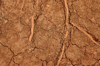 Turba toprak doku arka plan 