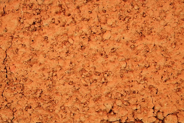 Peat soil texture background — Stock Photo, Image