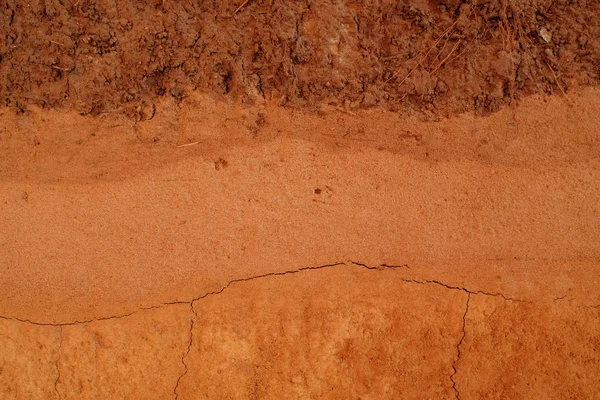 Fondo de textura de turba — Foto de Stock