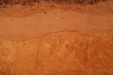 Turba toprak doku arka plan 