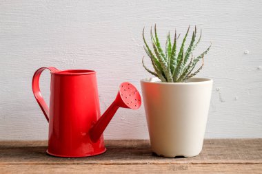 Ahşap masa üzerinde kapalı bitki