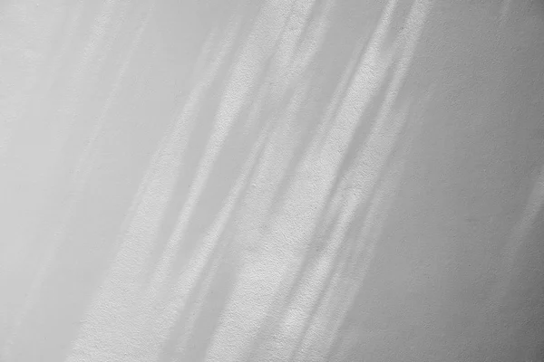 Stín pozadí listů na Bílé betonové zdi — Stock fotografie