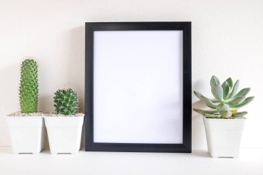 succulents ya da kaktüs raf ve sahte çerçevelemek fotoğraf kadar beyaz arka plan üzerinde beton tencere