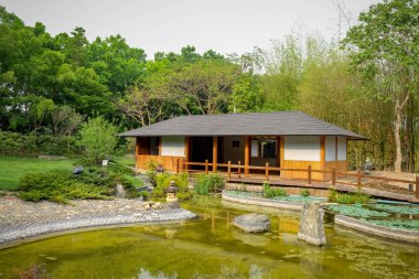 ağaç bahçe Japonya tarzı