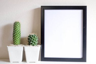 succulents ya da kaktüs raf ve sahte çerçevelemek fotoğraf kadar beyaz arka plan üzerinde beton tencere