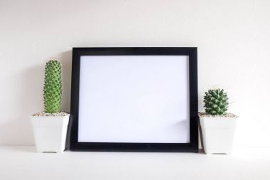 succulents ya da kaktüs raf ve sahte çerçevelemek fotoğraf kadar beyaz arka plan üzerinde beton tencere