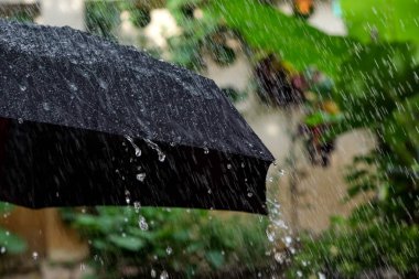 siyah bir şemsiye düşen yağmur damlaları