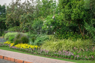 Gölge Bahçe ağaçları