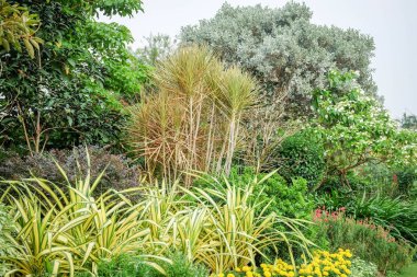 Gölge Bahçe ağaçları