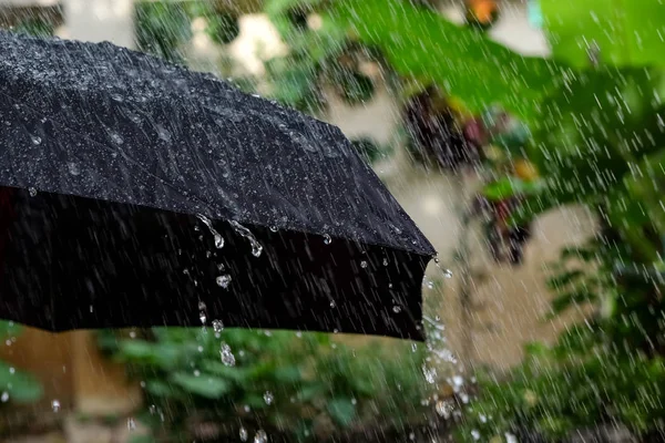 Rain drops falling from a black umbrella — Stock Photo, Image