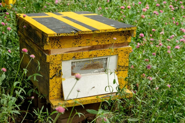 Beekeeping, agriculture, rural life.