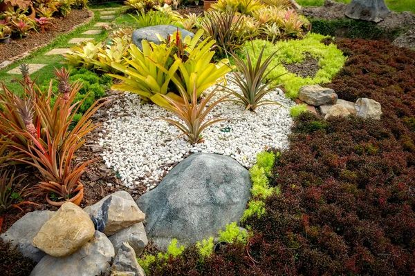 Bomen in de tuin van de schaduw — Stockfoto