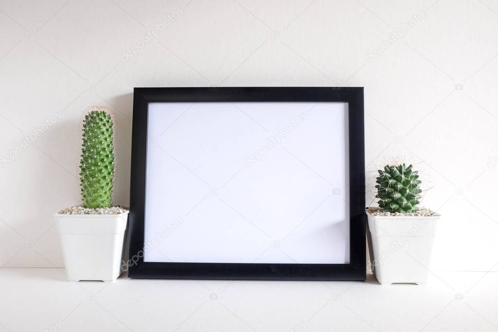 succulents or cactus in concrete pots over white background on the shelf and mock up frame photo